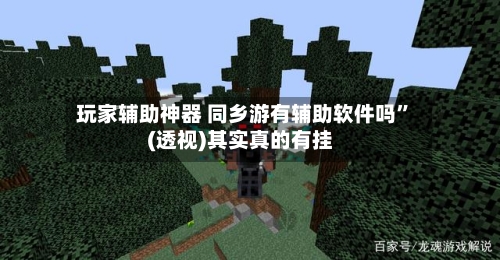 玩家辅助神器 同乡游有辅助软件吗”(透视)其实真的有挂-第2张图片