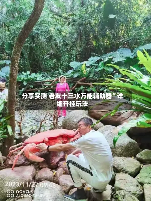 分享实测 老友十三水万能辅助器”详细开挂玩法-第3张图片