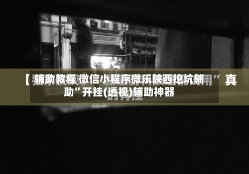 辅助教程 微信小程序微乐陕西挖坑辅助	”开挂(透视)辅助神器-第2张图片