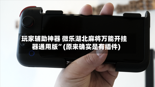 玩家辅助神器 微乐湖北麻将万能开挂器通用版”(原来确实是有插件)-第3张图片