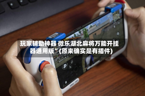 玩家辅助神器 微乐湖北麻将万能开挂器通用版”(原来确实是有插件)-第2张图片