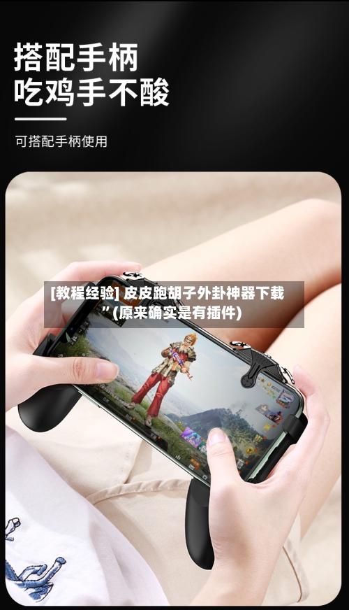 [教程经验] 皮皮跑胡子外卦神器下载”(原来确实是有插件)-第2张图片