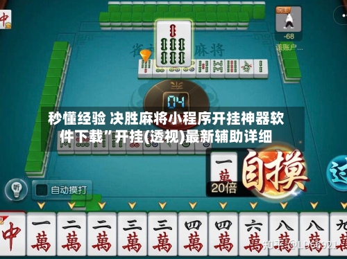 秒懂经验 决胜麻将小程序开挂神器软件下载”开挂(透视)最新辅助详细-第2张图片