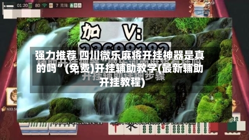 强力推荐 四川微乐麻将开挂神器是真的吗”(免费)开挂辅助教学(最新辅助开挂教程)-第2张图片