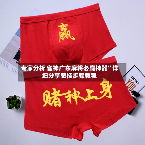 专家分析 雀神广东麻将必赢神器”详细分享装挂步骤教程-第3张图片