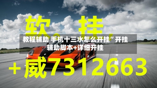 教程辅助 手机十三水怎么开挂”开挂辅助脚本+详细开挂-第3张图片