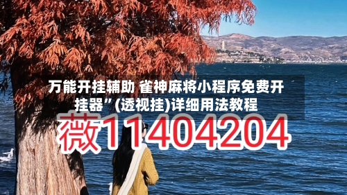 万能开挂辅助 雀神麻将小程序免费开挂器	”(透视挂)详细用法教程-第3张图片