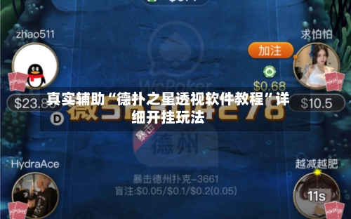 真实辅助“德扑之星透视软件教程”详细开挂玩法-第3张图片