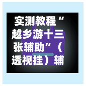 实测教程“越乡游十三张辅助”（透视挂）辅助神器教程-第3张图片
