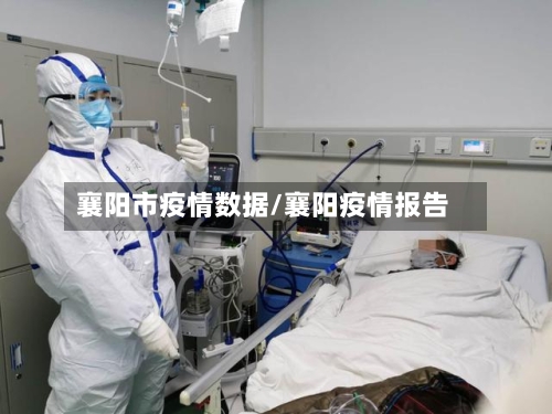 襄阳市疫情数据/襄阳疫情报告-第2张图片