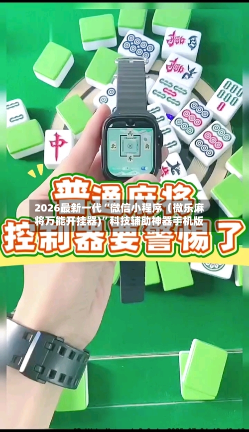 2026最新一代“微信小程序（微乐麻将万能开挂器)	”科技辅助神器手机版-第2张图片
