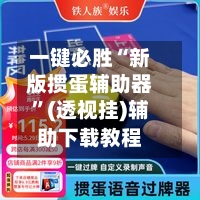 一键必胜“新版掼蛋辅助器”(透视挂)辅助下载教程-第2张图片