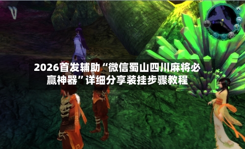 2026首发辅助“微信蜀山四川麻将必赢神器”详细分享装挂步骤教程-第3张图片