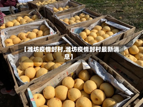 【潍坊疫情封村,潍坊疫情封村最新消息】-第3张图片