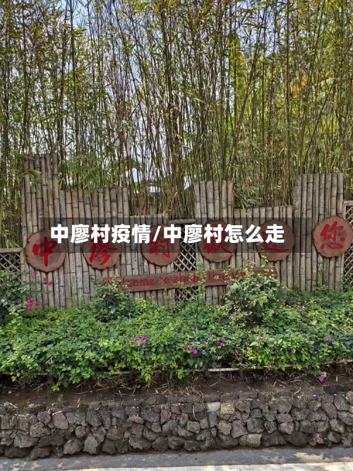 中廖村疫情/中廖村怎么走-第3张图片