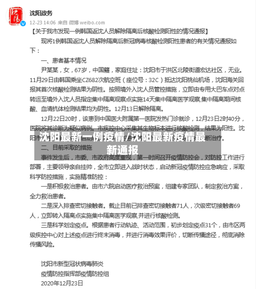 沈阳最新一例疫情/沈阳最新疫情最新通报-第2张图片