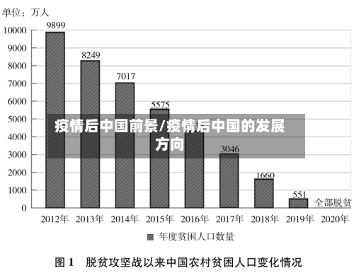 疫情后中国前景/疫情后中国的发展方向