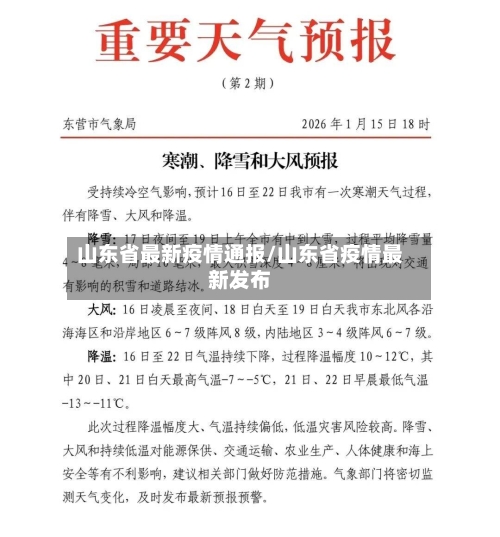 山东省最新疫情通报/山东省疫情最新发布-第2张图片