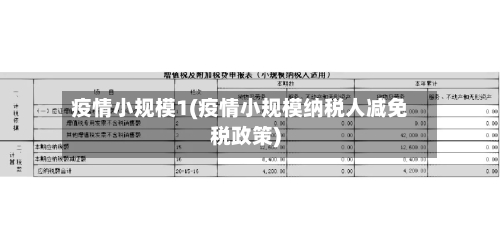 疫情小规模1(疫情小规模纳税人减免税政策)-第2张图片