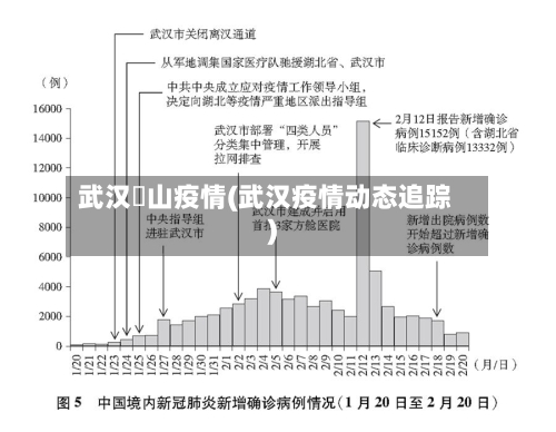武汉奓山疫情(武汉疫情动态追踪)