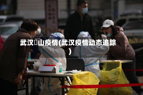 武汉奓山疫情(武汉疫情动态追踪)-第2张图片