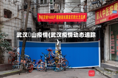 武汉奓山疫情(武汉疫情动态追踪)-第3张图片