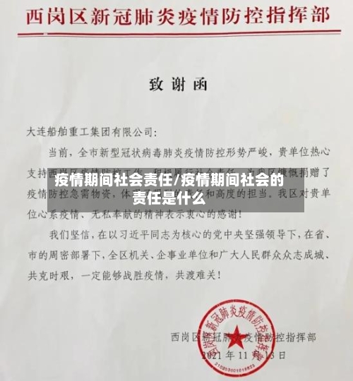 疫情期间社会责任/疫情期间社会的责任是什么