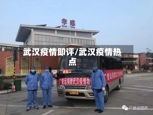 武汉疫情即评/武汉疫情热点