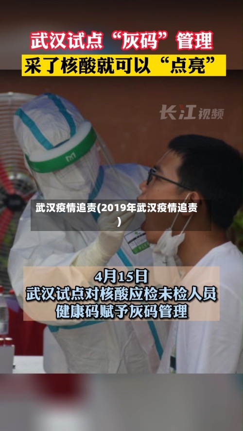 武汉疫情追责(2019年武汉疫情追责)
