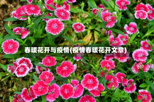 春暖花开与疫情(疫情春暖花开文章)-第2张图片