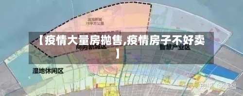 【疫情大量房抛售,疫情房子不好卖】-第2张图片