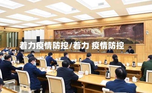 着力疫情防控/着力 疫情防控