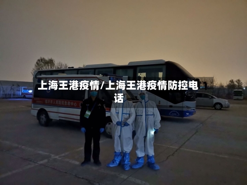 上海王港疫情/上海王港疫情防控电话-第3张图片