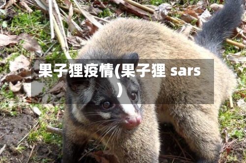果子狸疫情(果子狸 sars)-第2张图片