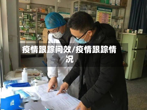 疫情跟踪问效/疫情跟踪情况
