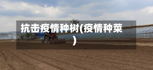 抗击疫情种树(疫情种菜)-第3张图片