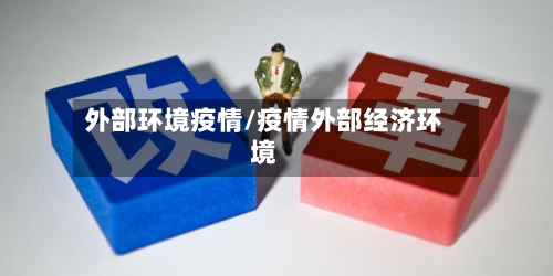 外部环境疫情/疫情外部经济环境