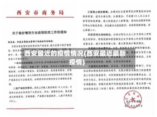 西安最近的疫情情况(西安最近最新疫情)-第2张图片