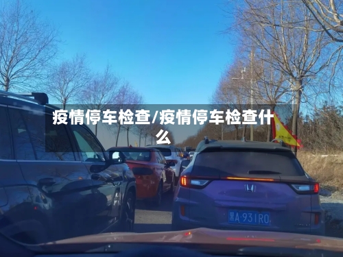 疫情停车检查/疫情停车检查什么-第2张图片