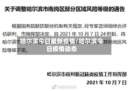 哈尔滨今日最新疫情/哈尔滨今日疫情动态-第2张图片