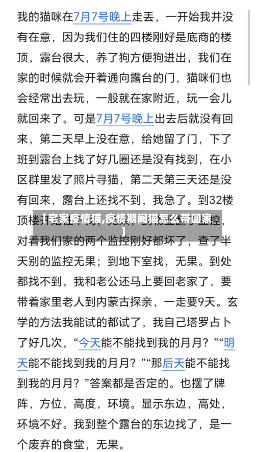 【宅家疫情猫,疫情期间猫怎么带回家】