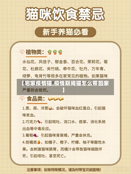 【宅家疫情猫,疫情期间猫怎么带回家】-第2张图片