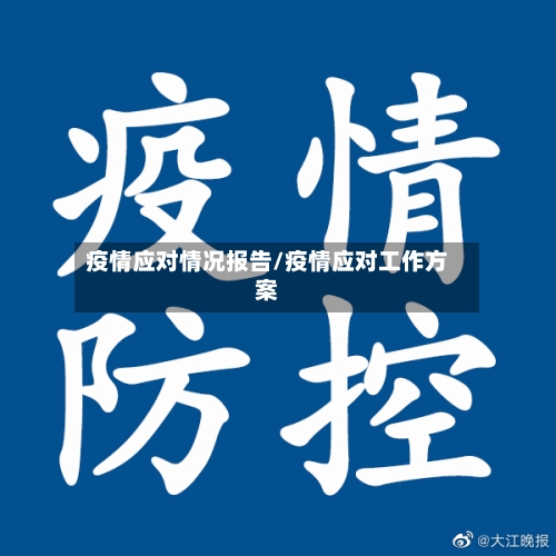 疫情应对情况报告/疫情应对工作方案