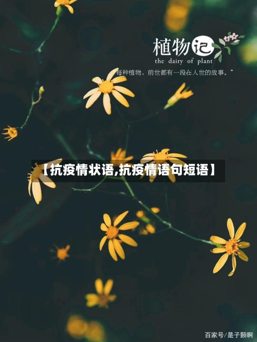 【抗疫情状语,抗疫情语句短语】-第2张图片