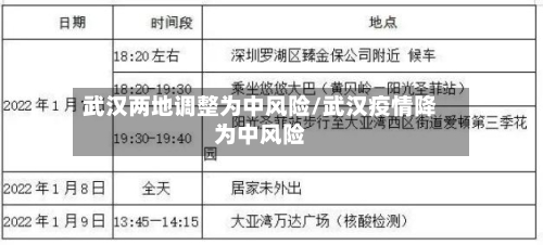 武汉两地调整为中风险/武汉疫情降为中风险