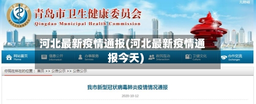 河北最新疫情通报(河北最新疫情通报今天)-第2张图片