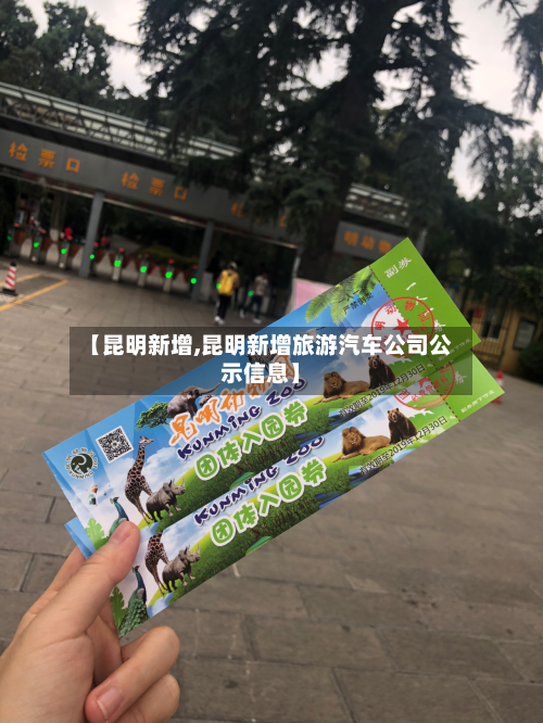 【昆明新增,昆明新增旅游汽车公司公示信息】