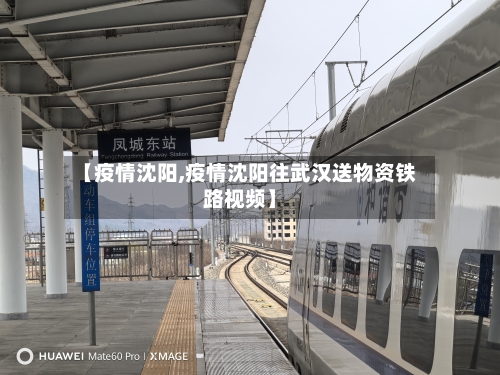 【疫情沈阳,疫情沈阳往武汉送物资铁路视频】