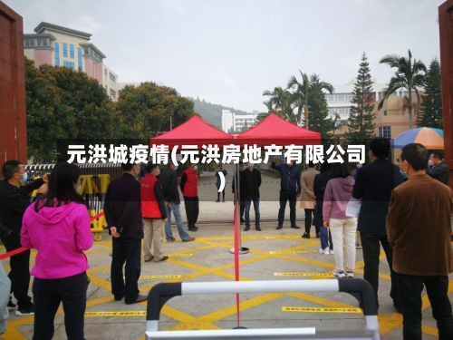 元洪城疫情(元洪房地产有限公司)