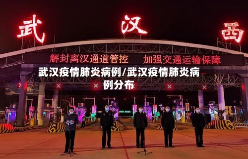 武汉疫情肺炎病例/武汉疫情肺炎病例分布-第2张图片